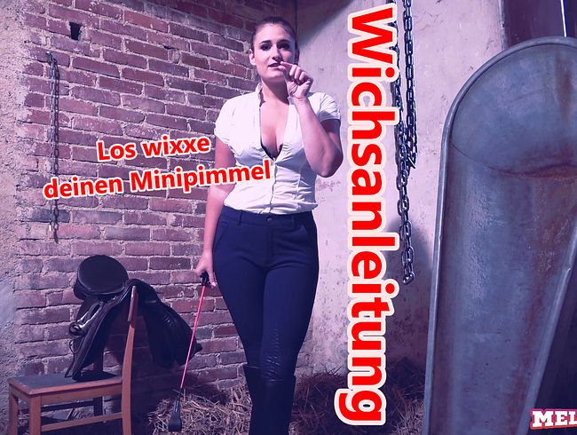 Wichsanleitung